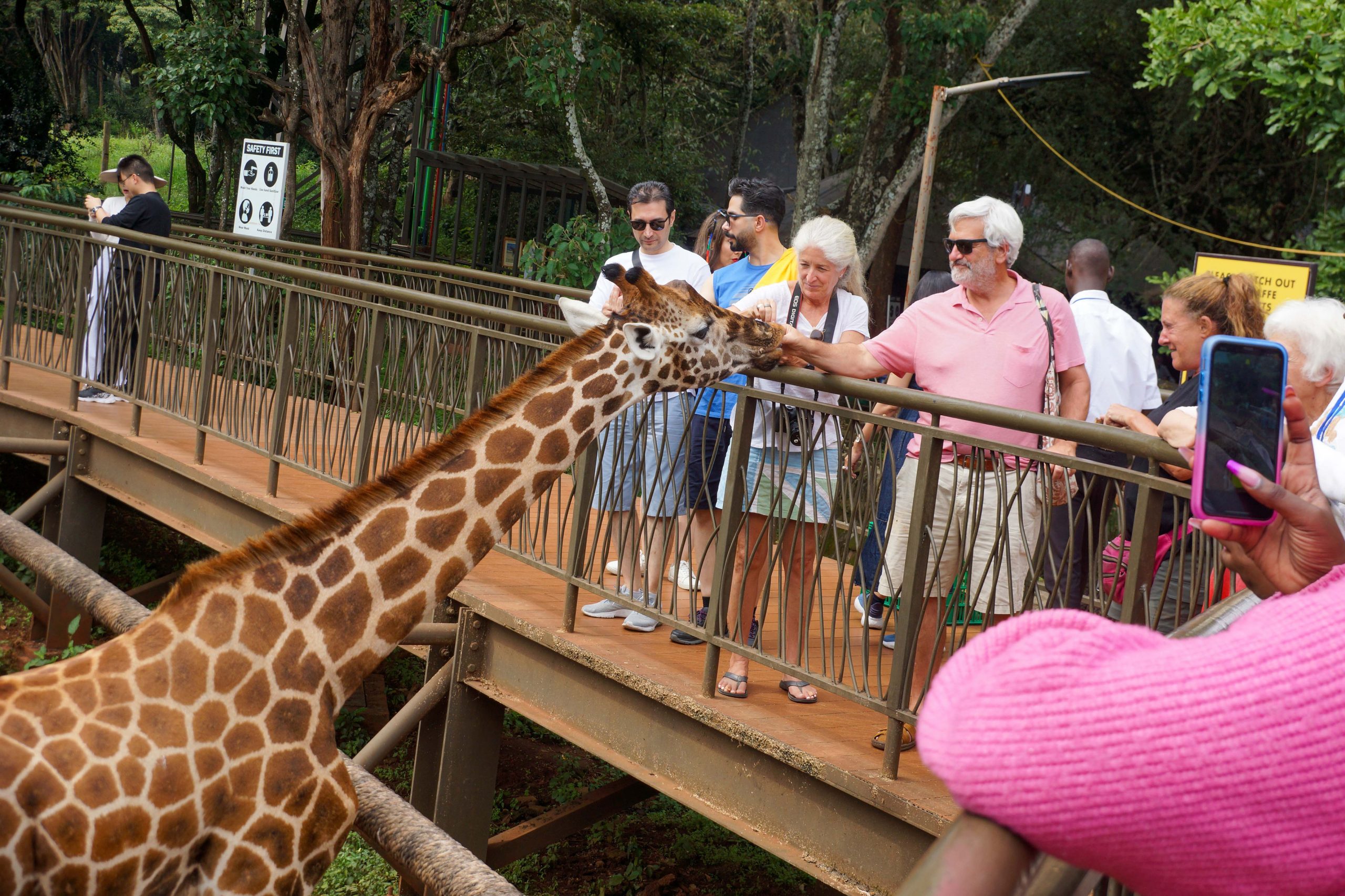 Nairobi Giraffe Centre Tour